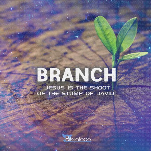 Meaning of BRANCH Jesus’ names