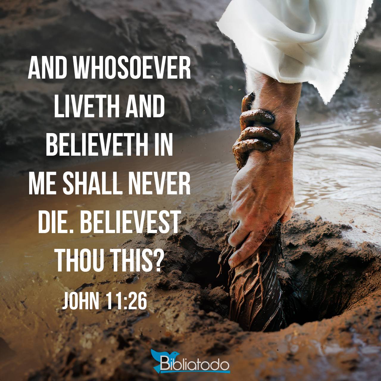 john-11-26-tlv-and-whoever-lives-and-believes-in-me-shall-never-die