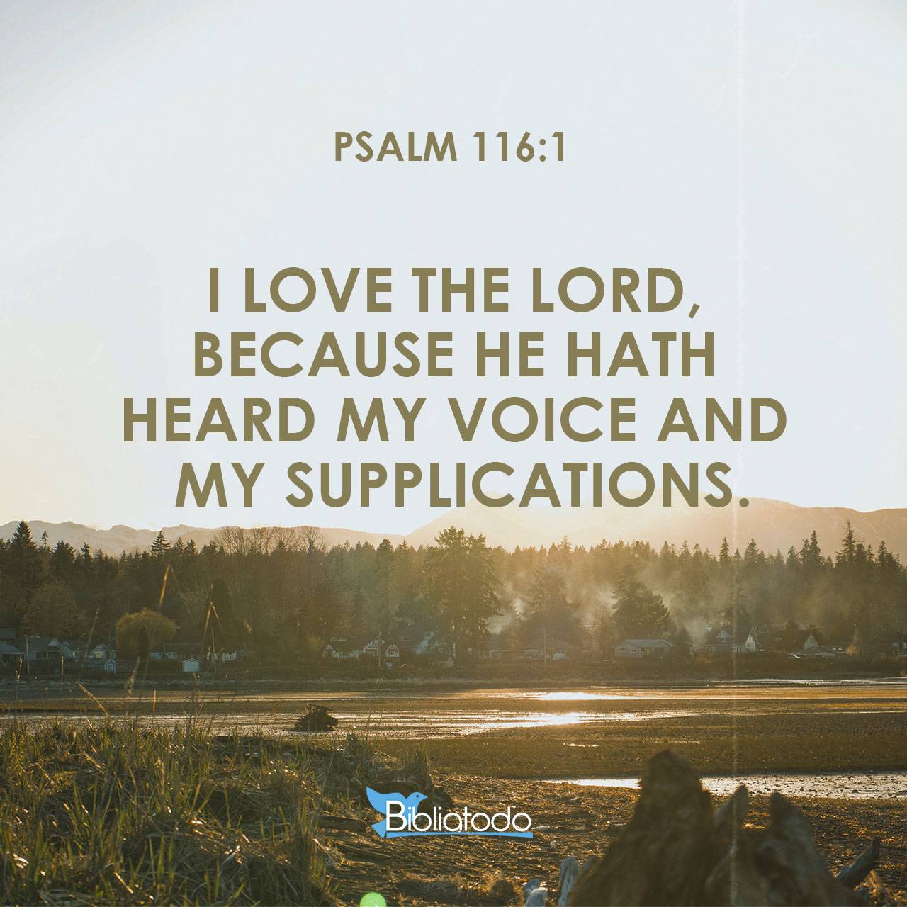 Psalm 116:1 Bible Cross References | Connecting Verses Across Scripture ...
