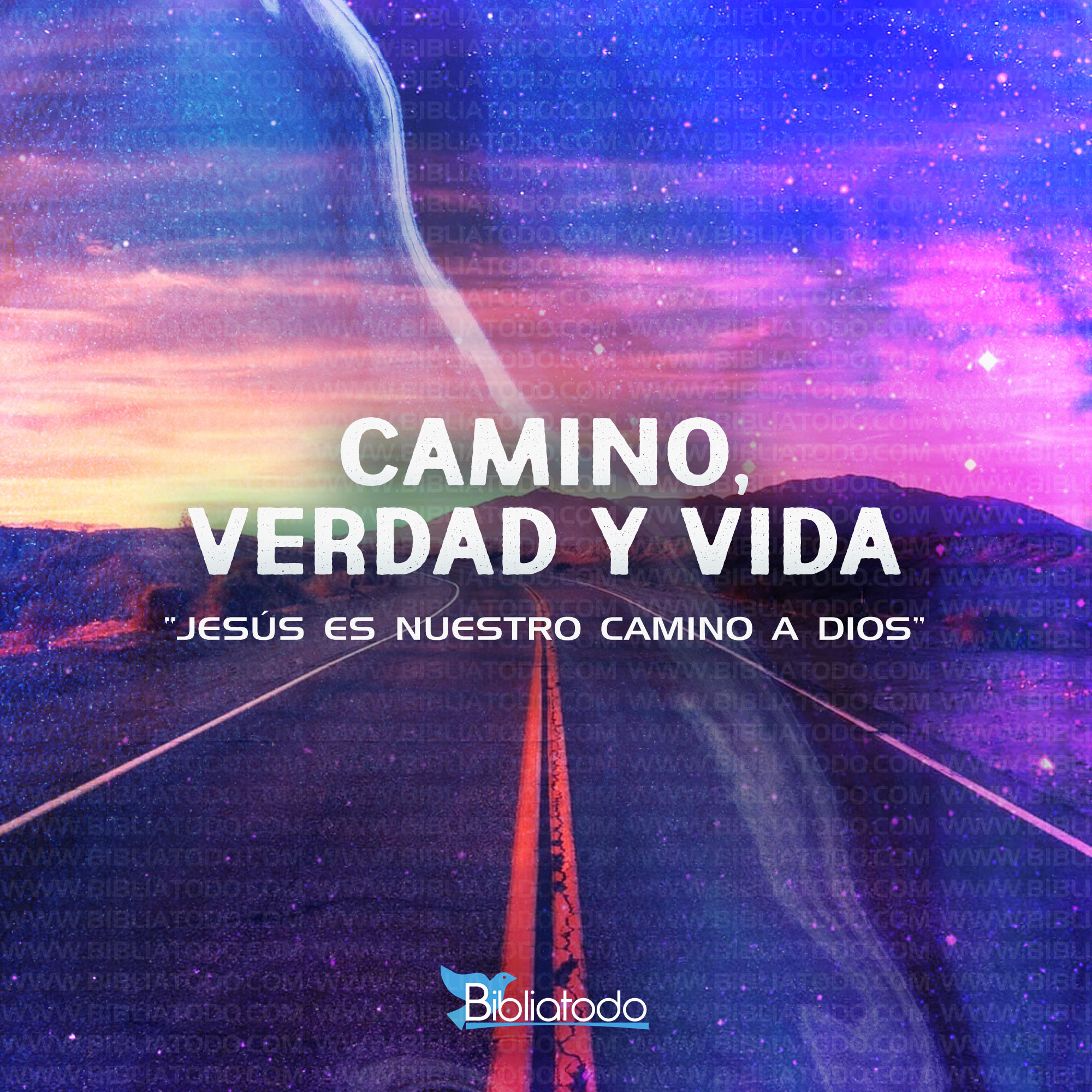CAMINO, VERDAD Y VIDA
