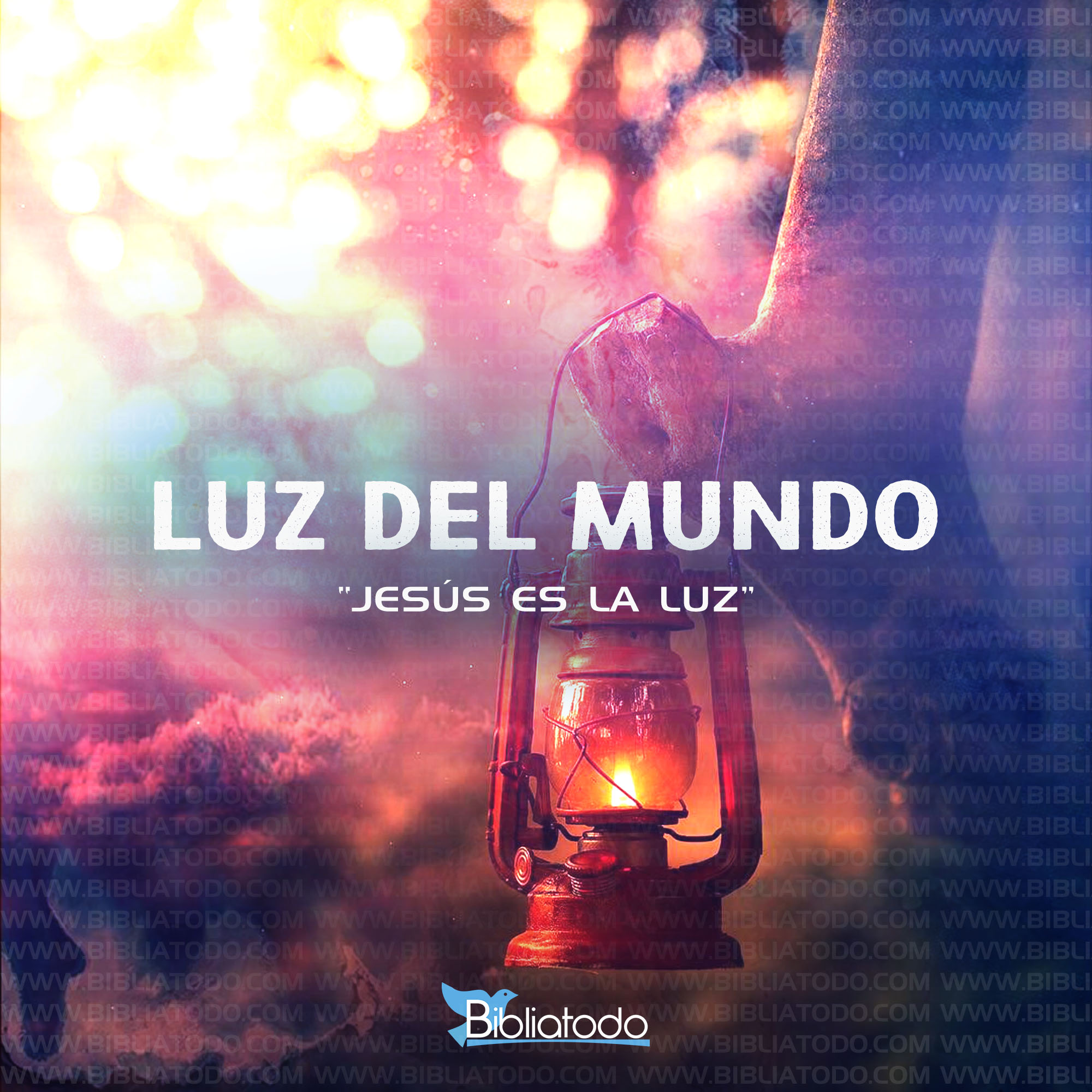 LUZ DEL MUNDO
