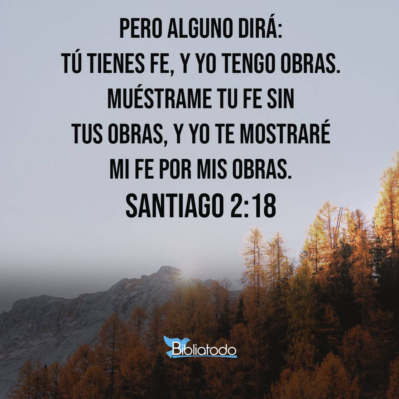 La Biblia Carta De Santiago vrogue.co