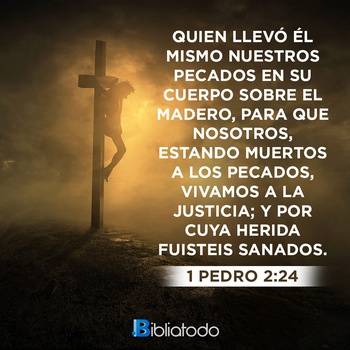 1 Pedro 2:24