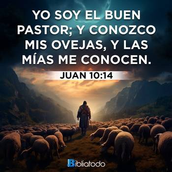 Juan 10:14