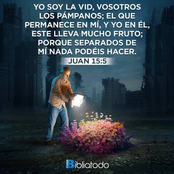 Juan 15:5