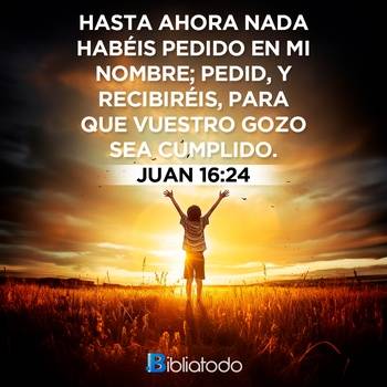 Juan 16:24
