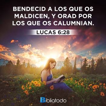 Lucas 6:28