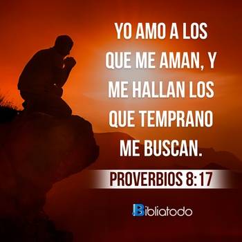 Proverbios 8:17