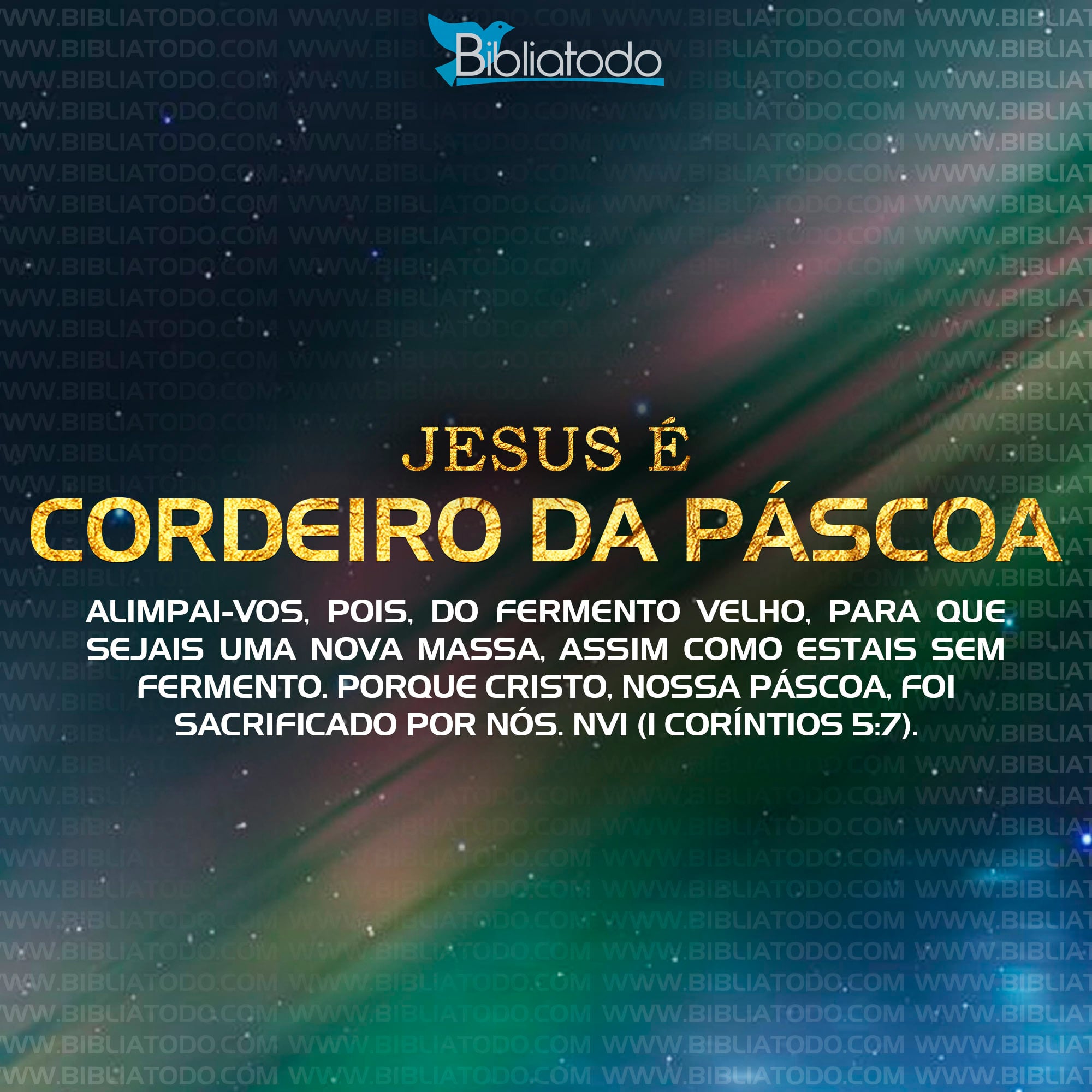 Significado do Cordeiro da Páscoa - Jesus é