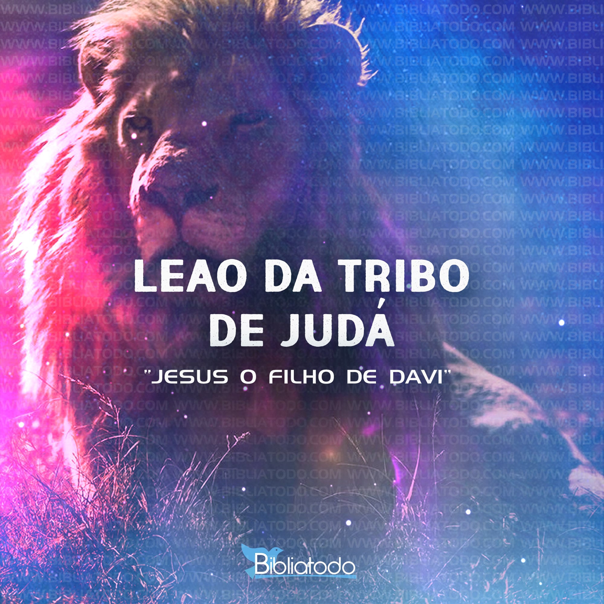 Significado do LEAO DA TRIBO DE JUDÁ - Nomes de Jesus
