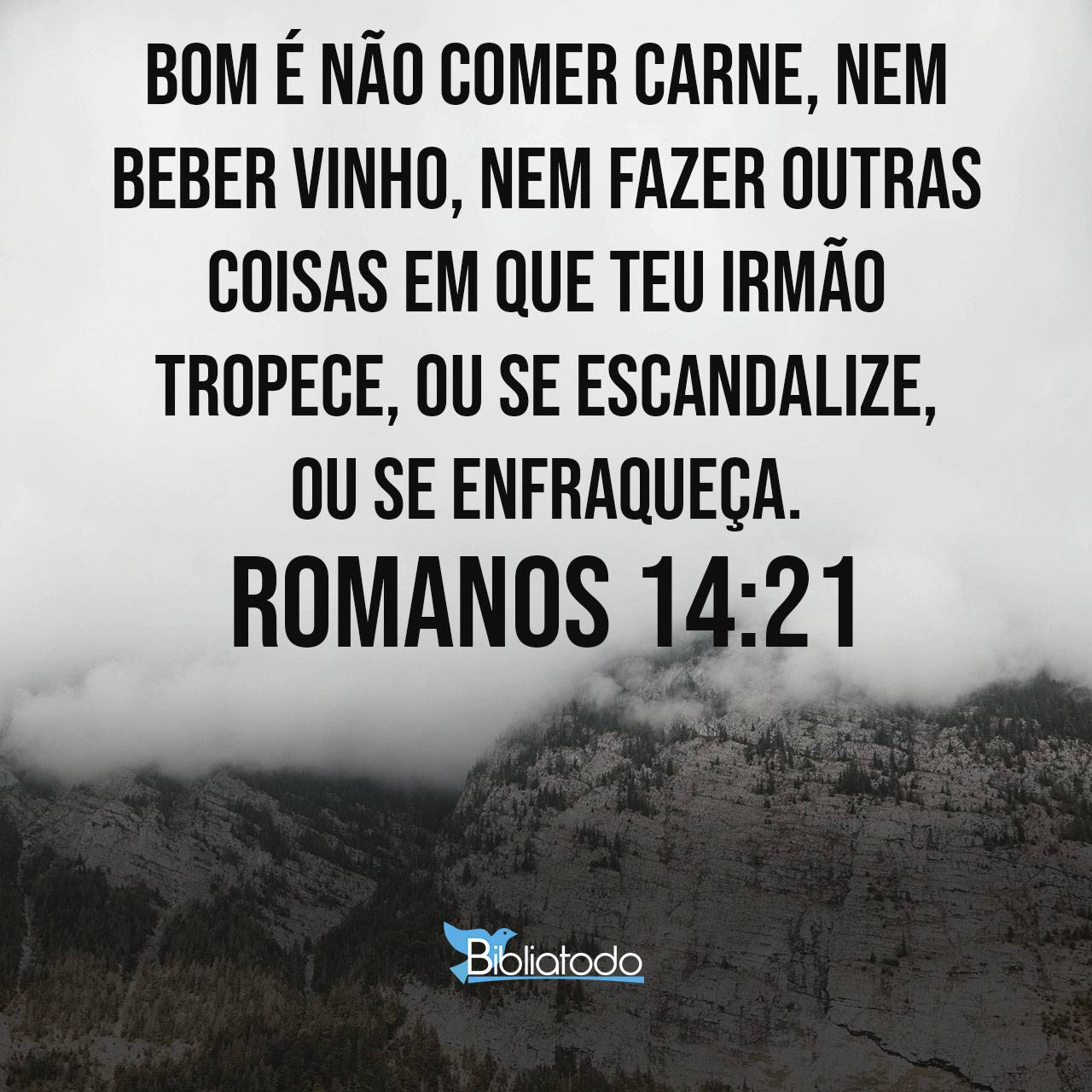 Romanos 14:21 NVI - É melhor não comer carne, nem beber vinho, nem fazer  qualquer outra coisa que leve o seu irmão a cair.