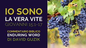 Io Sono La Vera Vite: Commentario Biblico su Giovanni 15:1-17