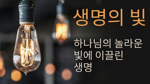 생명의 빛 하나님의 놀라운 빛에 이끌린 생명