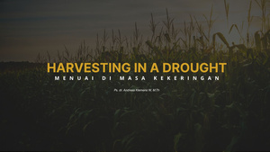 Menuai di Masa Kekeringan