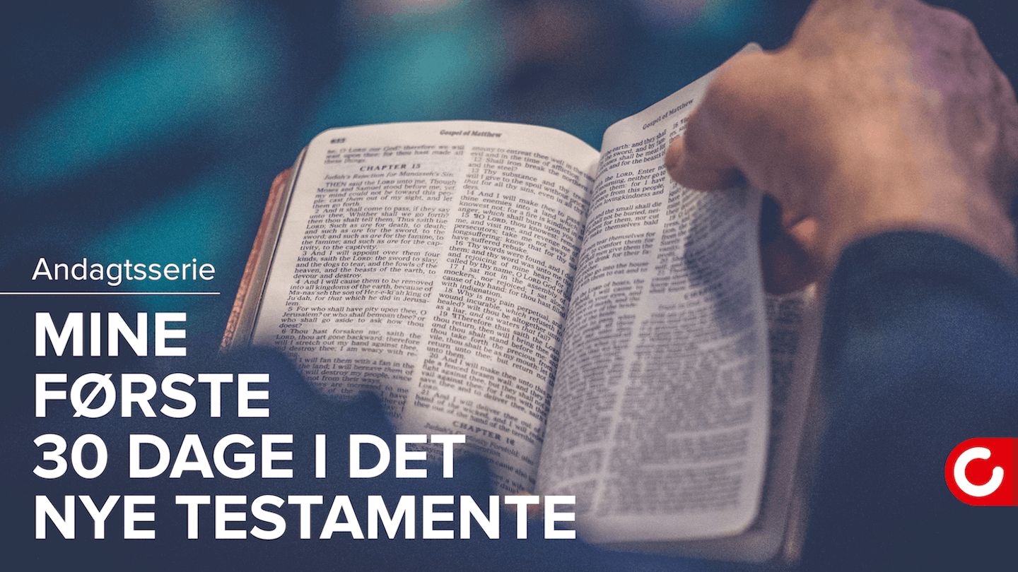 Mine første 30 dage i Det Nye Testamente