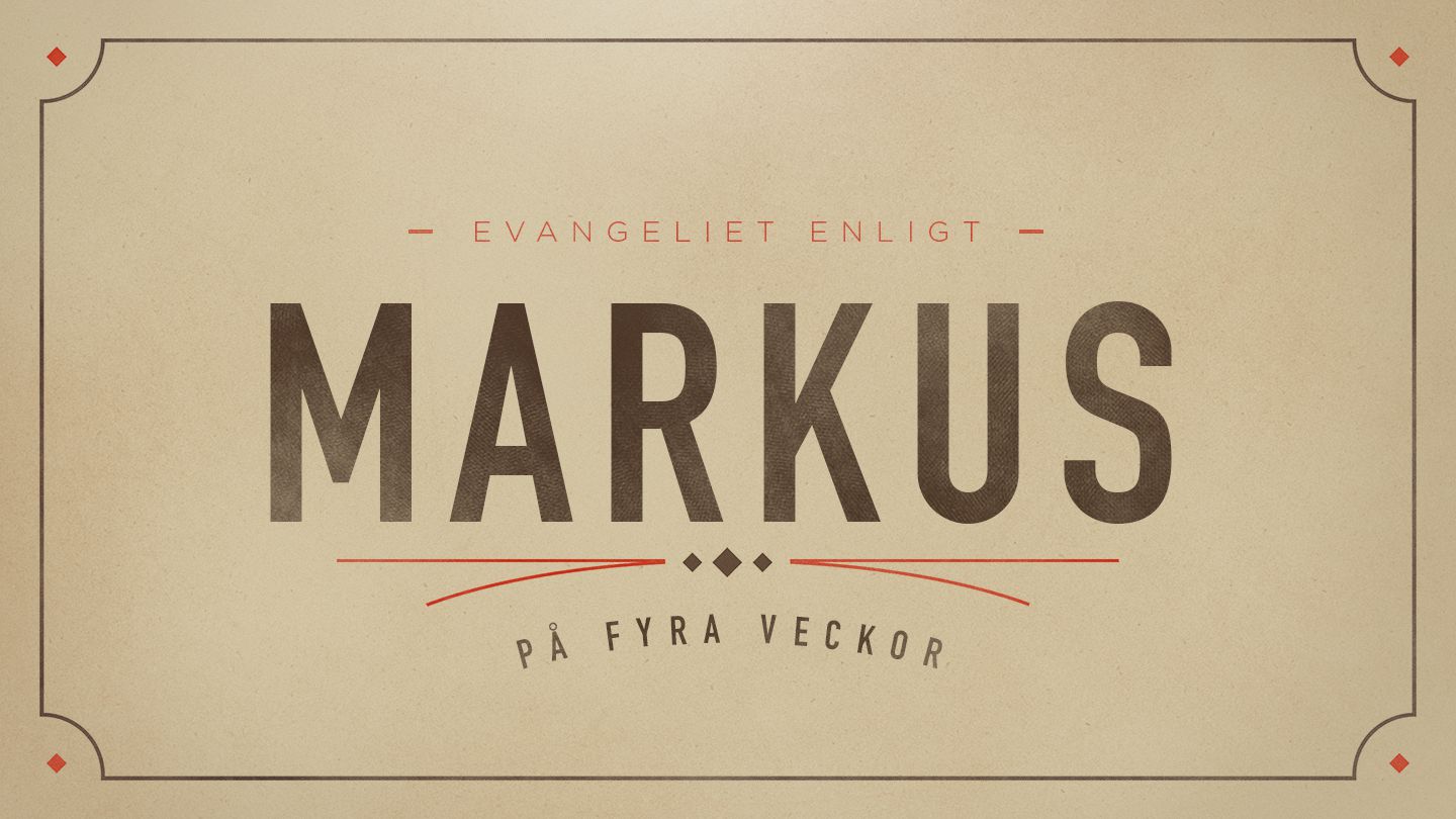 Markus på fyra veckor