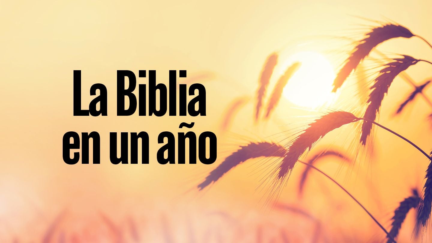 Lee La Biblia en Un Año Con Andrew Wommack