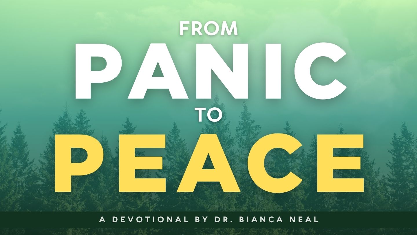 From Panic to Peace